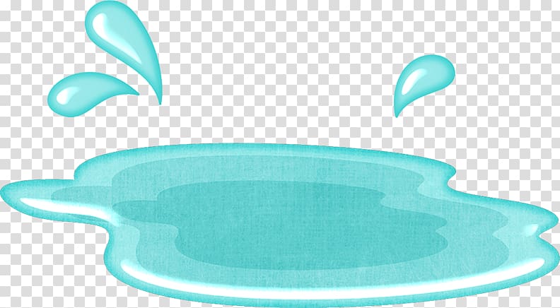 Turtle Colombian slider Pond slider Species Water, turtle transparent background PNG clipart