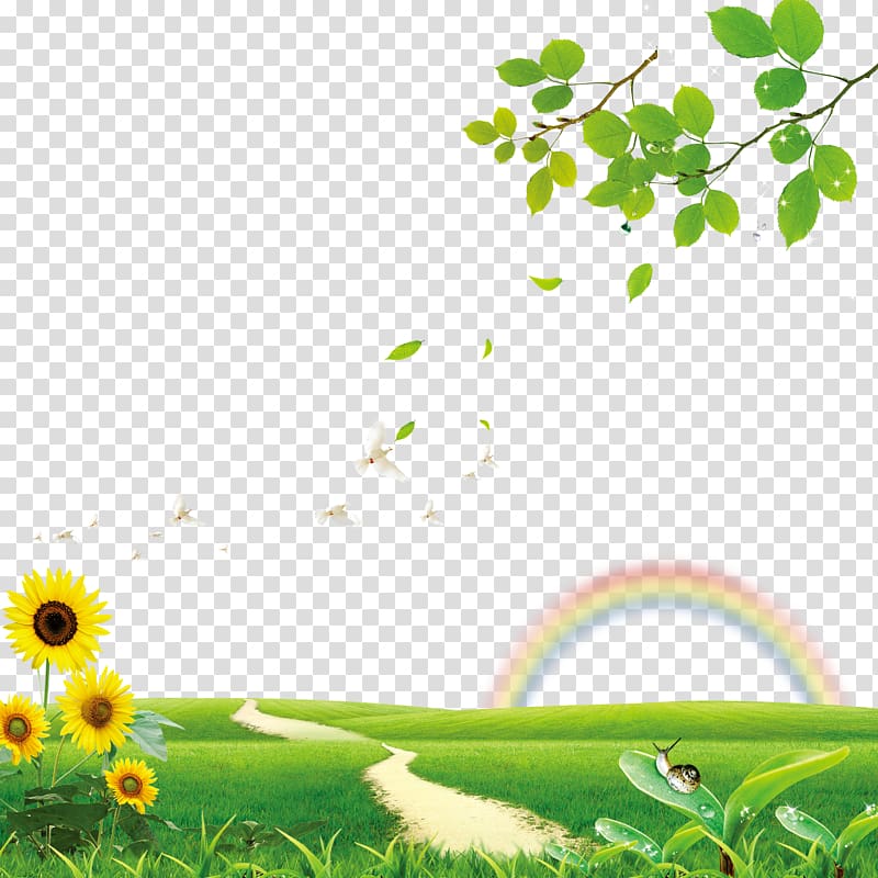 yellow sunflower and snail , Common sunflower, Grassland sunflower student management transparent background PNG clipart
