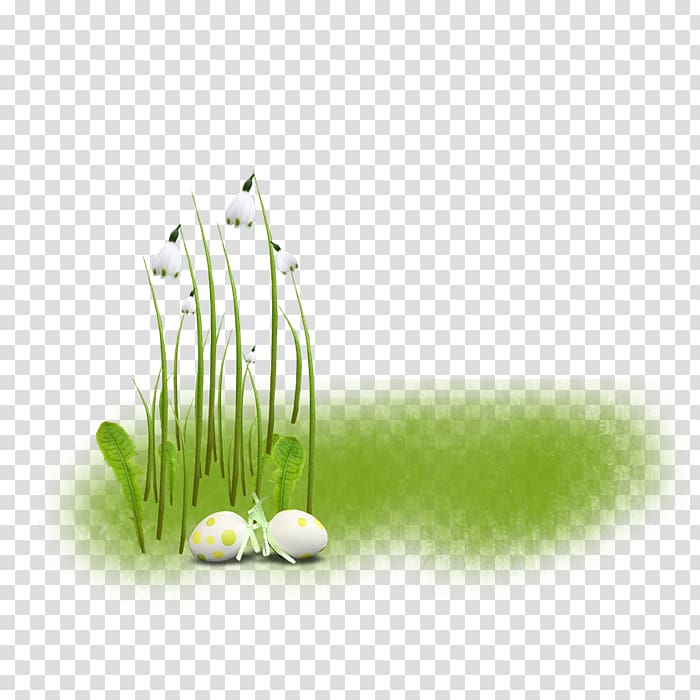 Cut flowers Plant stem Desktop , 绿叶 transparent background PNG clipart