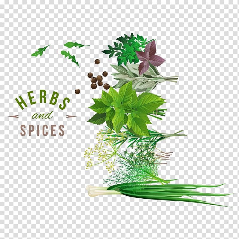 assorted green herbs and spices , Herb Spice Vegetable, Fresh herbs and spices design material transparent background PNG clipart