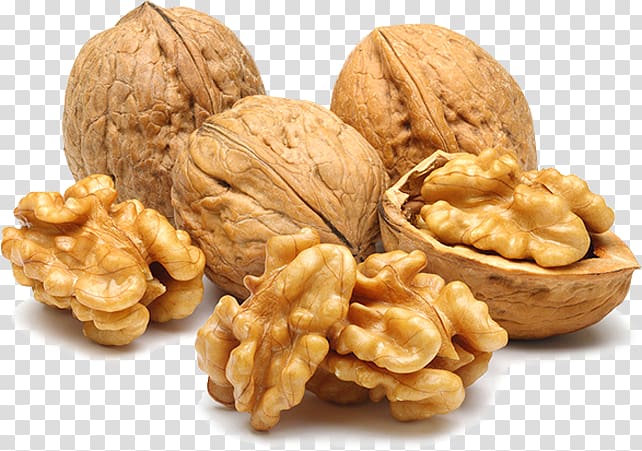 brown nuts, Organic food Iranian cuisine Walnut Dried fruit, Food snack nuts walnut clip transparent background PNG clipart