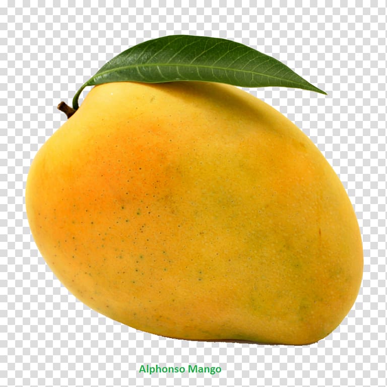 Portable Network Graphics Mango Transparency Fruit, mango transparent background PNG clipart