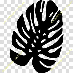 Leaf Line White Font, Leaf transparent background PNG clipart thumbnail