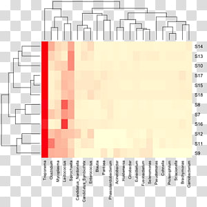 Paper Line Point Angle, line transparent background PNG clipart thumbnail