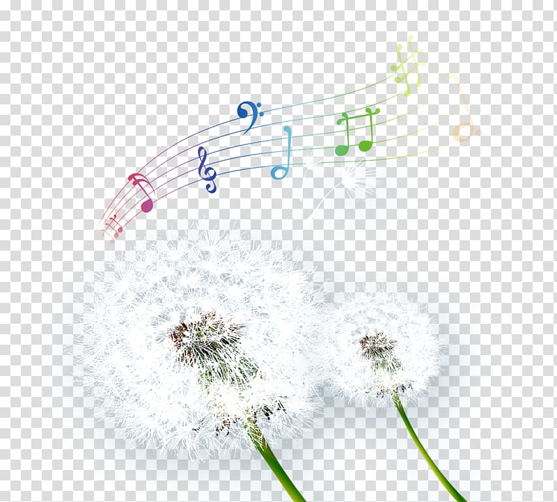 Common Dandelion Taraxacum platycarpum Musical note, Dandelion and white musical note transparent background PNG clipart
