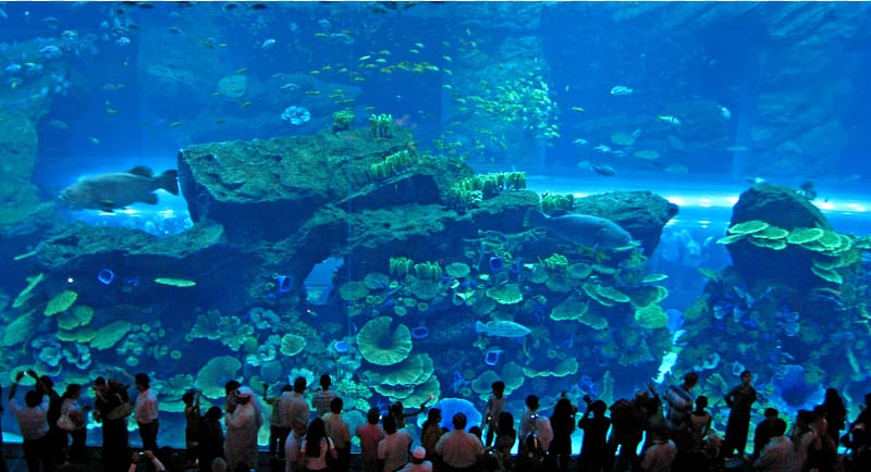 The Dubai Mall Burj Khalifa Dubai Marina Mall of the Emirates Dubai Aquarium & Underwater Zoo, Aquarium transparent background PNG clipart