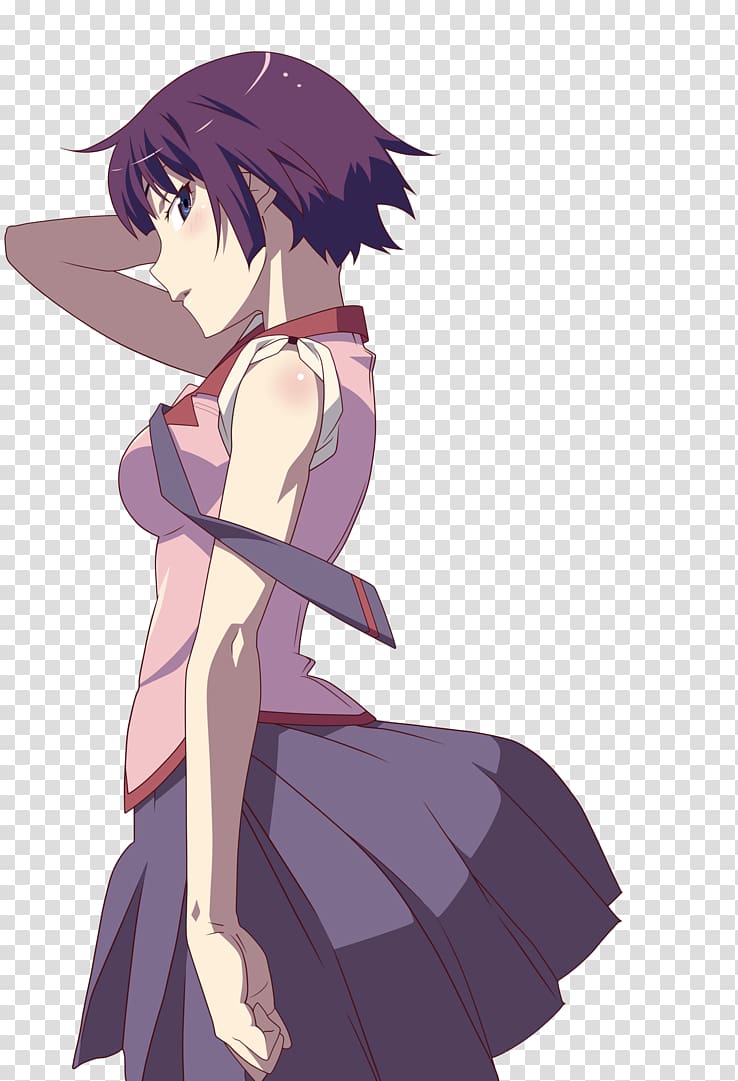 https://p7.hiclipart.com/preview/928/2/411/hitagi-senjougahara-monogatari-series-nisemonogatari-nekomonogatari-shiro-anime.jpg