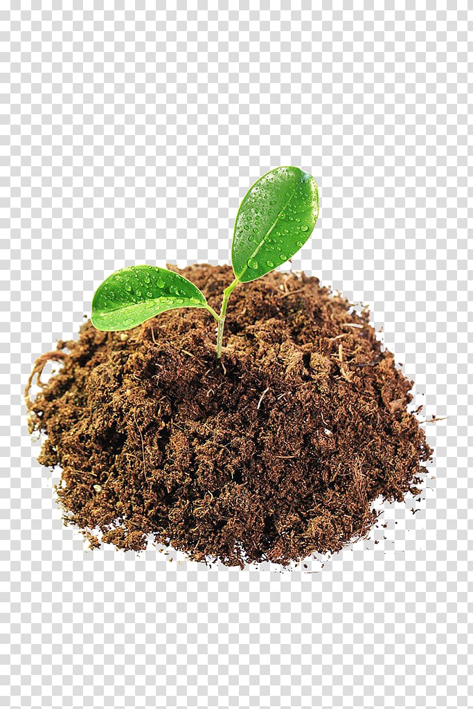 Soil Plant Tree, others transparent background PNG clipart