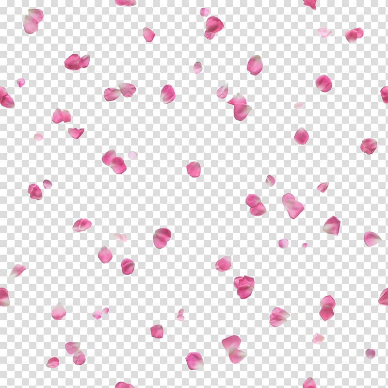 Petal , others transparent background PNG clipart