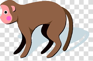 Cat Canidae Mammal Horse Homo sapiens, Cat transparent background PNG clipart thumbnail