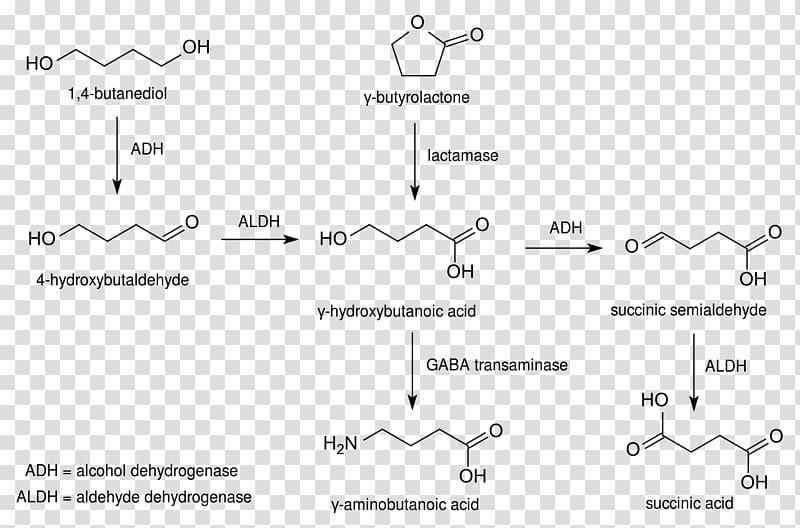 1,4-Butanediol Gamma-hydroxybutyrate Gamma-Butyrolactone Metabolism, pathway transparent background PNG clipart