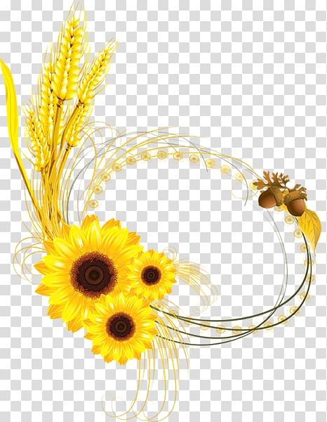 Common sunflower Decorative Borders Common wheat , others transparent background PNG clipart