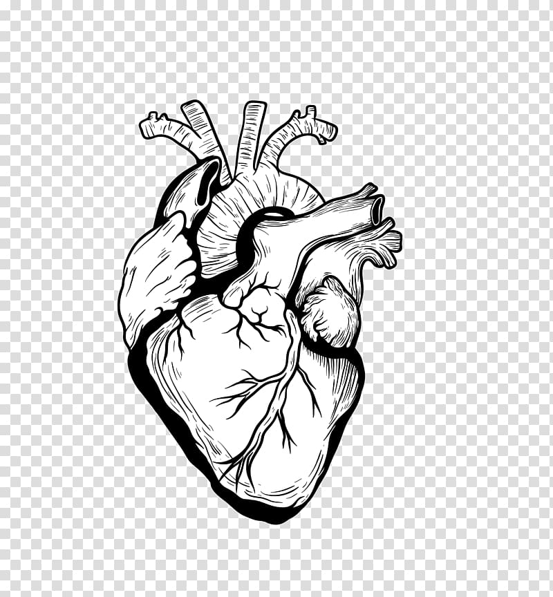 Heart Drawing Organ, black creative heart organ transparent background PNG clipart