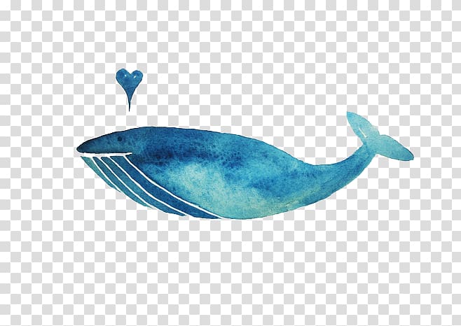 Whale Blue Marine mammal Illustration, whale transparent background PNG clipart