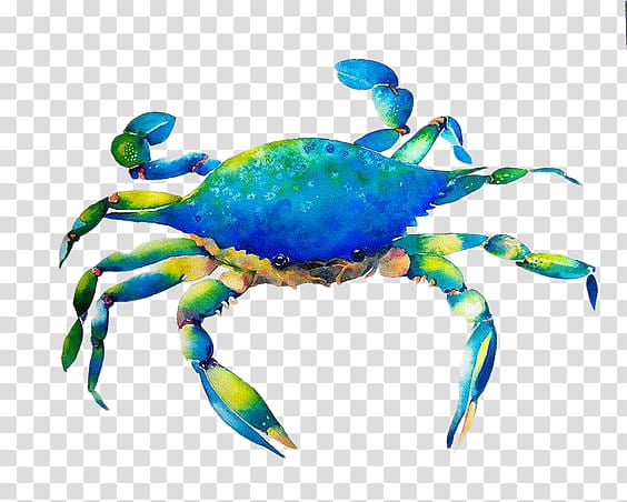 Dungeness crab Watercolor painting Art, Hand-painted blue crab transparent background PNG clipart