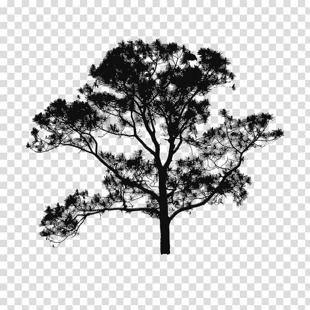 Branch Tree Brush Silhouette, Floor Plan Tree transparent background PNG clipart