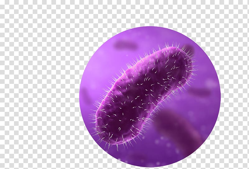 E. coli Bacteria , Supermarket Trolleys transparent background PNG clipart