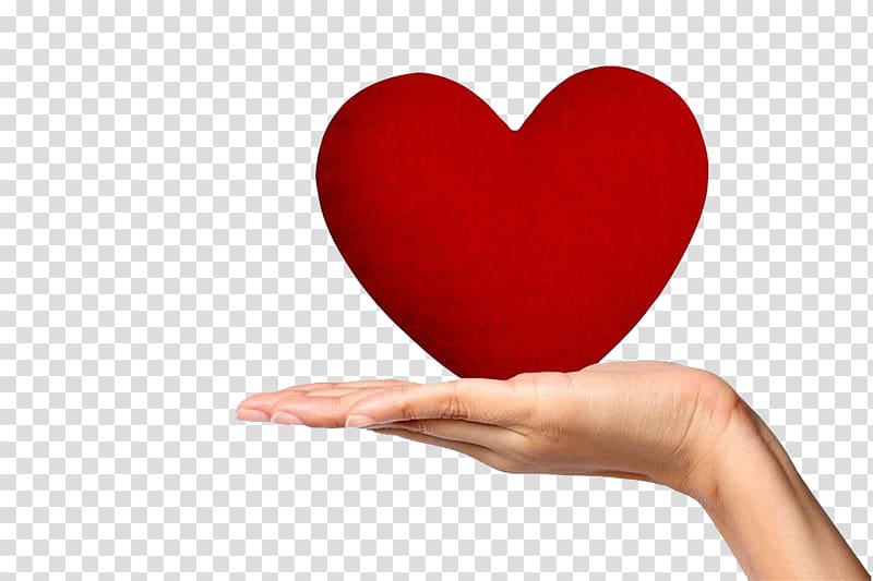 Heart Hand Google , Holding red heart transparent background PNG clipart