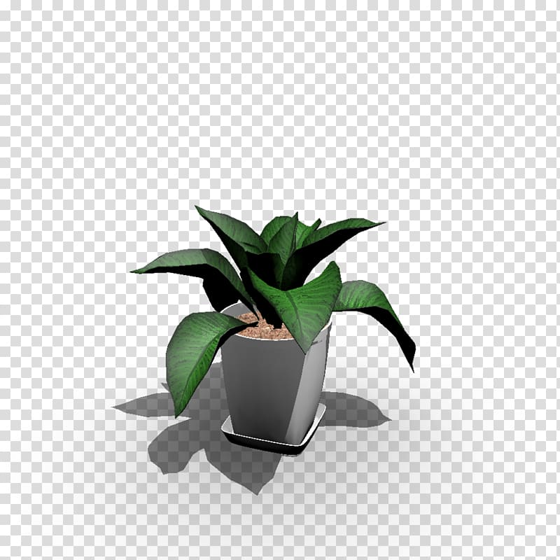 Houseplant Flowerpot Animal Gardening, plant identification transparent background PNG clipart