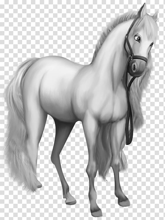 white horse illustration, American Miniature Horse American Saddlebred Pony White , Beautiful White Horse transparent background PNG clipart