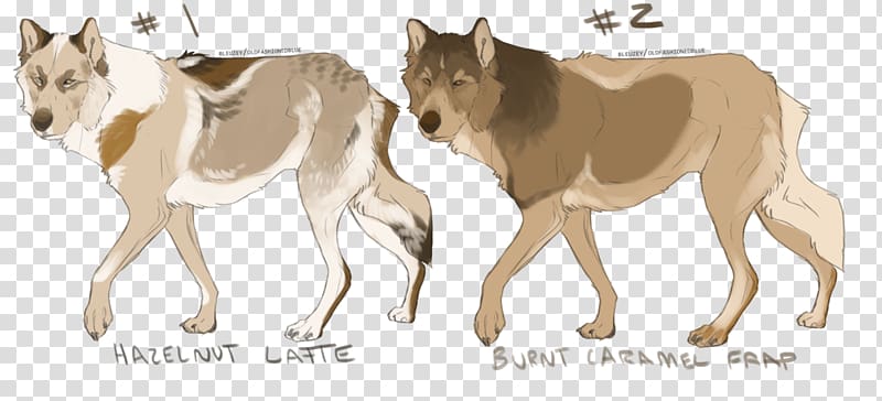 Gray wolf Mustang Pack animal Freikörperkultur Mammal, coffee girl transparent background PNG clipart