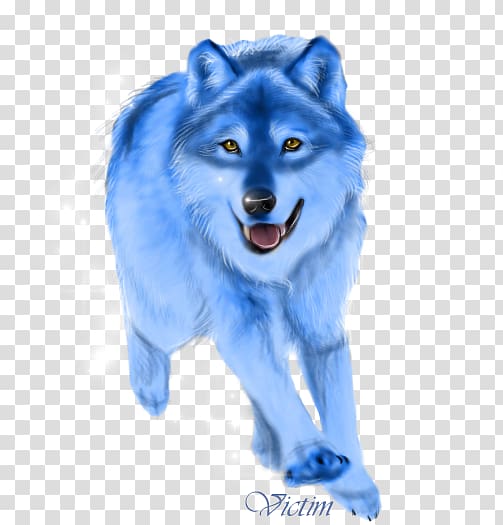 Dog Mammal Canidae Snout Carnivora, BLUE WOLF transparent background PNG clipart