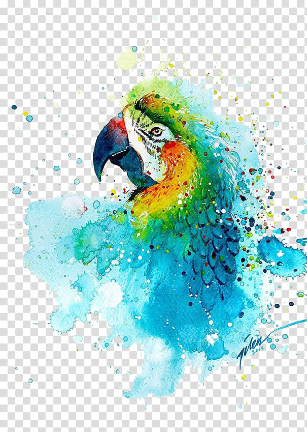multi color parrot illustration, Watercolor painting Art Printmaking Drawing, parrot transparent background PNG clipart
