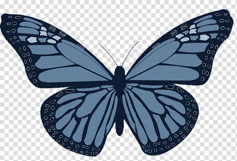 Non-Hodgkin lymphoma T-shirt Cancer Hodgkin\'s lymphoma, blue butterfly transparent background PNG clipart