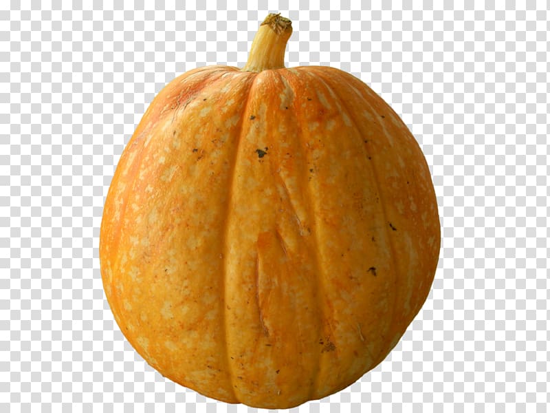 Calabaza Cucurbita Pumpkin Melon Winter squash, pumpkin transparent background PNG clipart