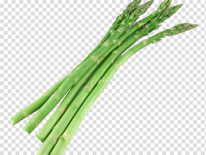 Bunch of Asparagus Welsh onion Vegetarian cuisine, agathe auproux transparent background PNG clipart