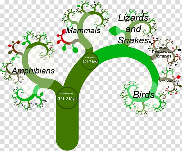 Leaf Illustration Product design Ecosystem Brand, Kemetic Tree of Life transparent background PNG clipart