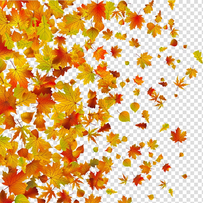 Withered autumn leaves transparent background PNG clipart