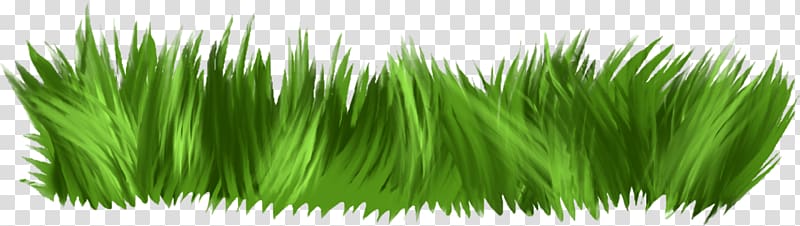 Fence , Green grass transparent background PNG clipart