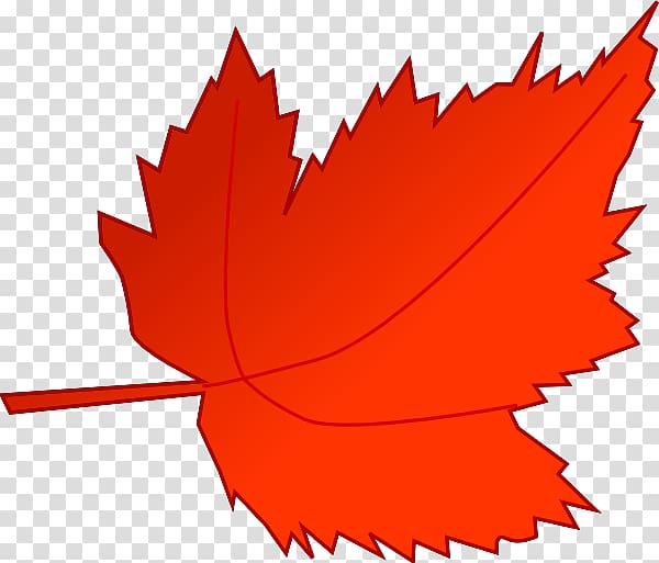 Autumn leaf color Maple leaf , maple leaf transparent background PNG clipart