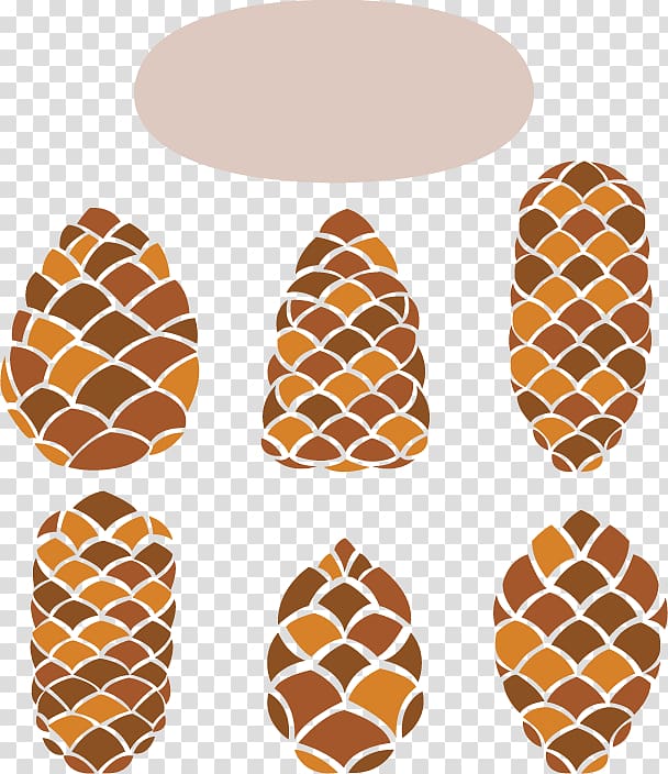 Conifer cone Pine Euclidean , 6 Creative Design pine cone material transparent background PNG clipart