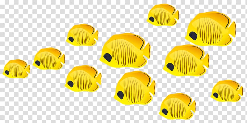shoal of yellow discus fish illustration, Fish , Fishes transparent background PNG clipart