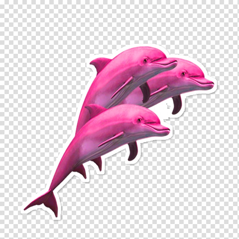 Dolphin Porpoise Sticker Adhesive, dolphin transparent background PNG clipart