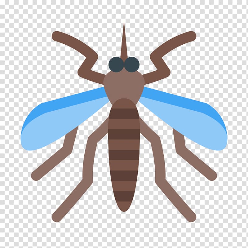 Computer Icons Insect Yellow fever mosquito Fly, insect transparent background PNG clipart