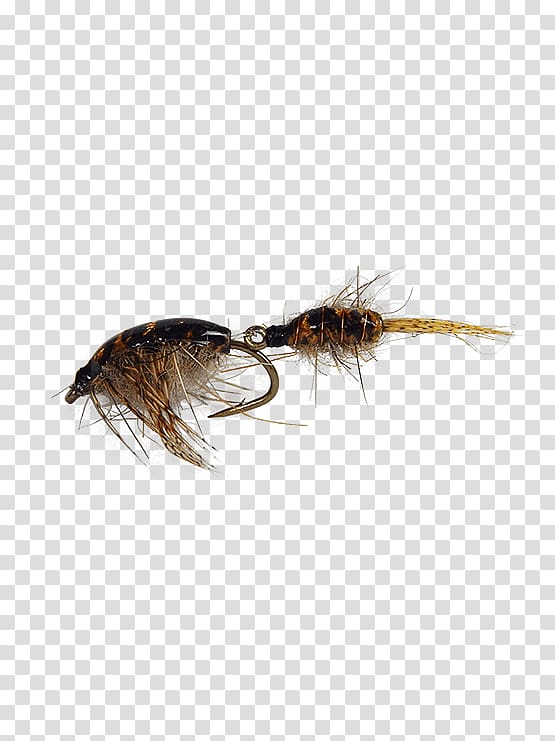 Artificial fly Fly fishing Insect Hare's Ear, fly transparent background PNG clipart