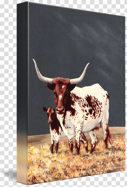 Texas Longhorn English Longhorn Ox Calf, Watercolor cow transparent background PNG clipart