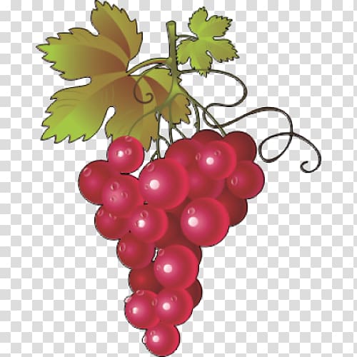 Common Grape Vine Wine Concord grape , wine transparent background PNG clipart