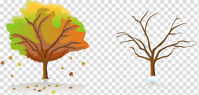 Season Tree Autumn, Autumn and winter trees transparent background PNG clipart