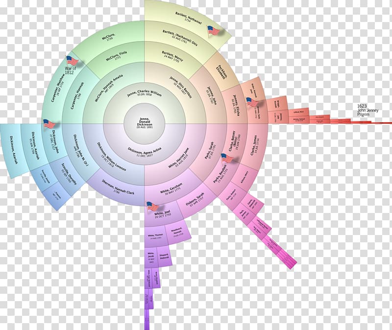 Genealogy Fan chart Family tree Ancestor, Family transparent background PNG clipart