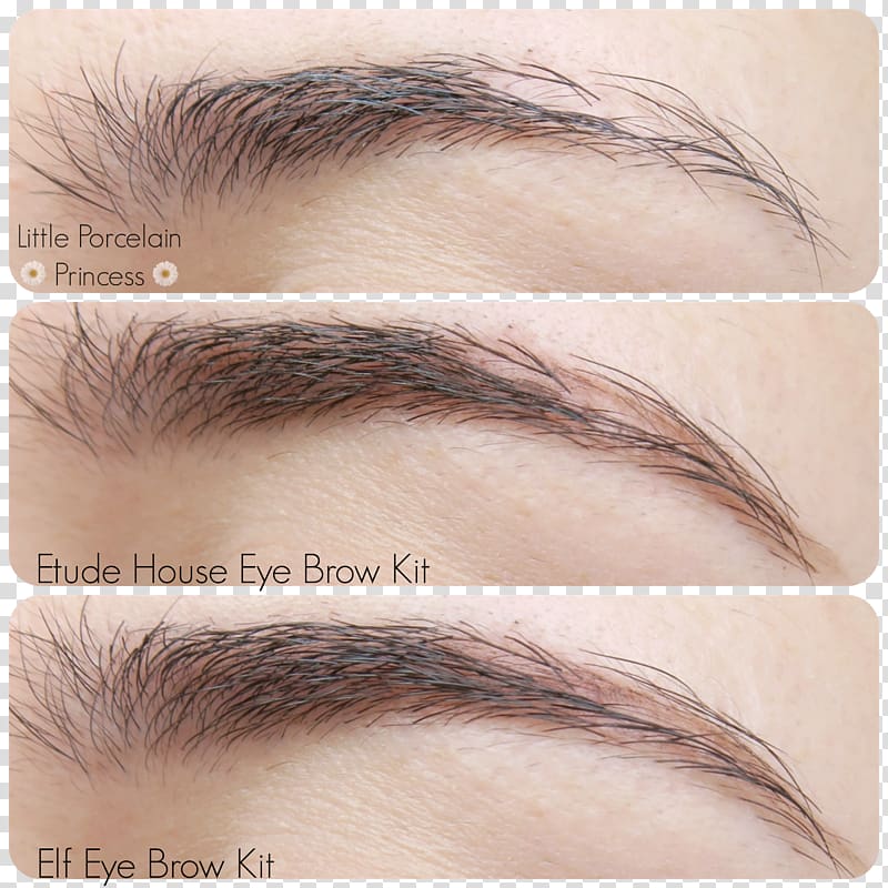 Eyebrow Cosmetics Eye Shadow Eyelash, eye brow transparent background PNG clipart