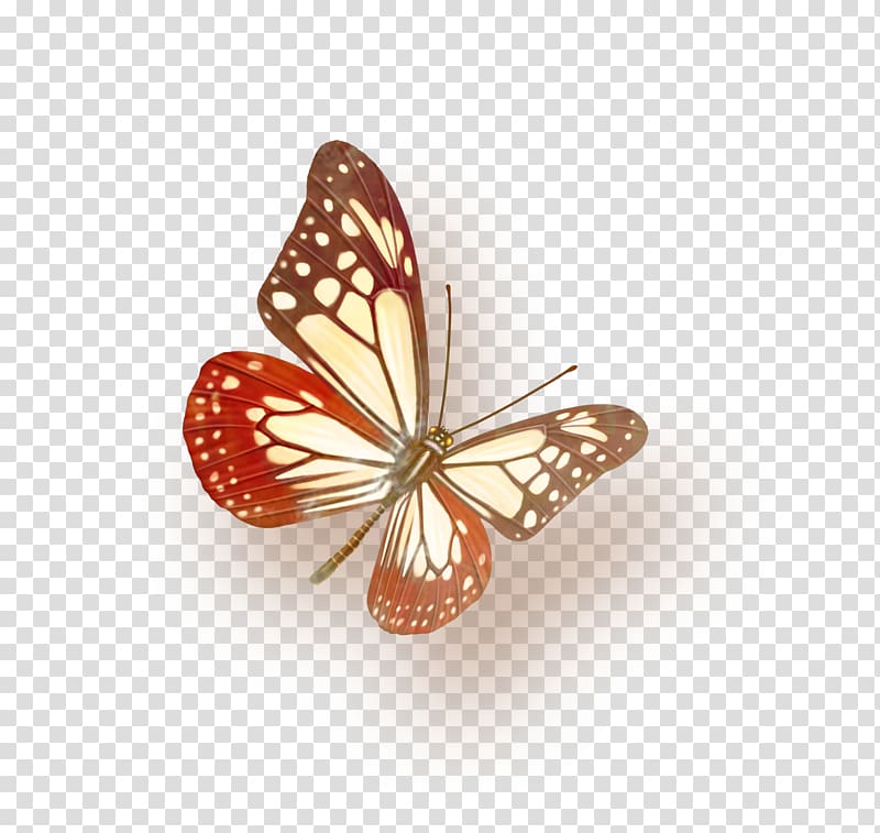 Butterfly Color Violet Computer file, butterfly transparent background PNG clipart