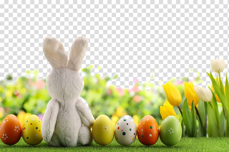 Easter Bunny Easter egg, Beautiful Easter Egg transparent background PNG clipart