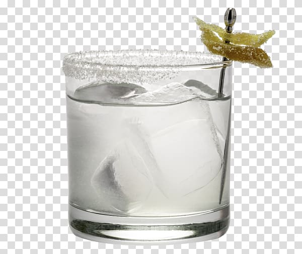 Gin and tonic Vodka tonic Margarita Cocktail Tequila, cocktail transparent background PNG clipart