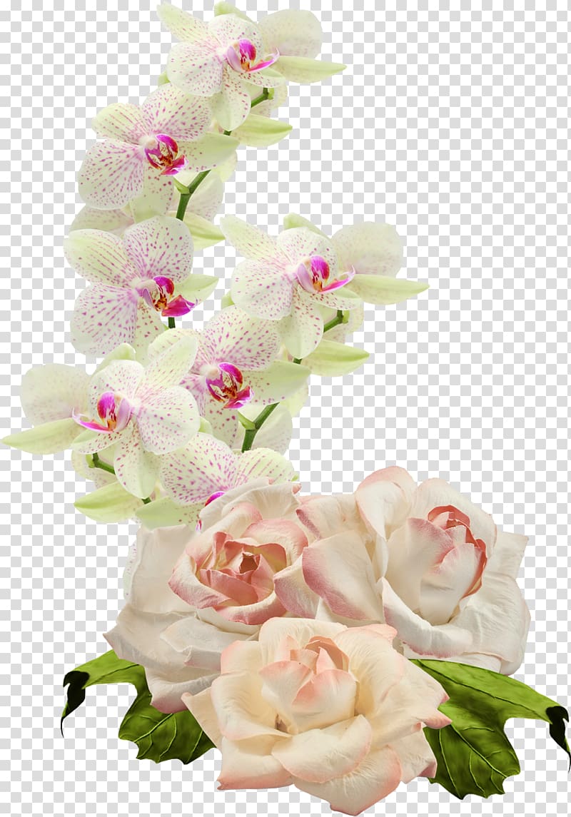 Floral design Cut flowers Moth orchids, flower transparent background PNG clipart
