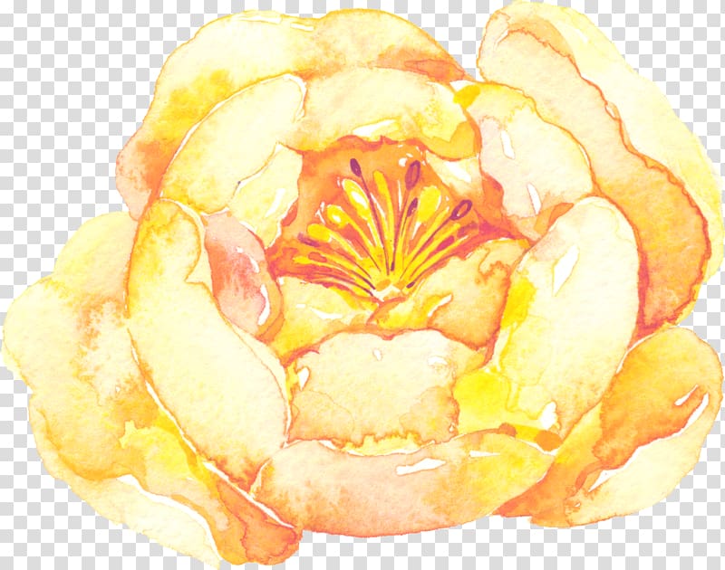 yellow flowers transparent background PNG clipart