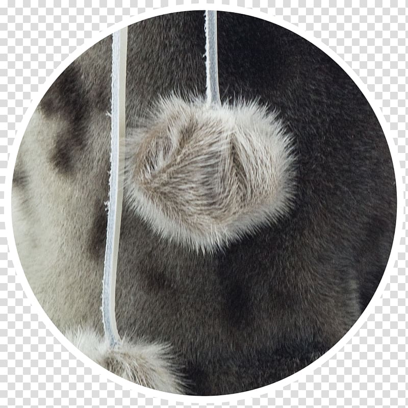 Snout Fur Whiskers, Earless Seal transparent background PNG clipart